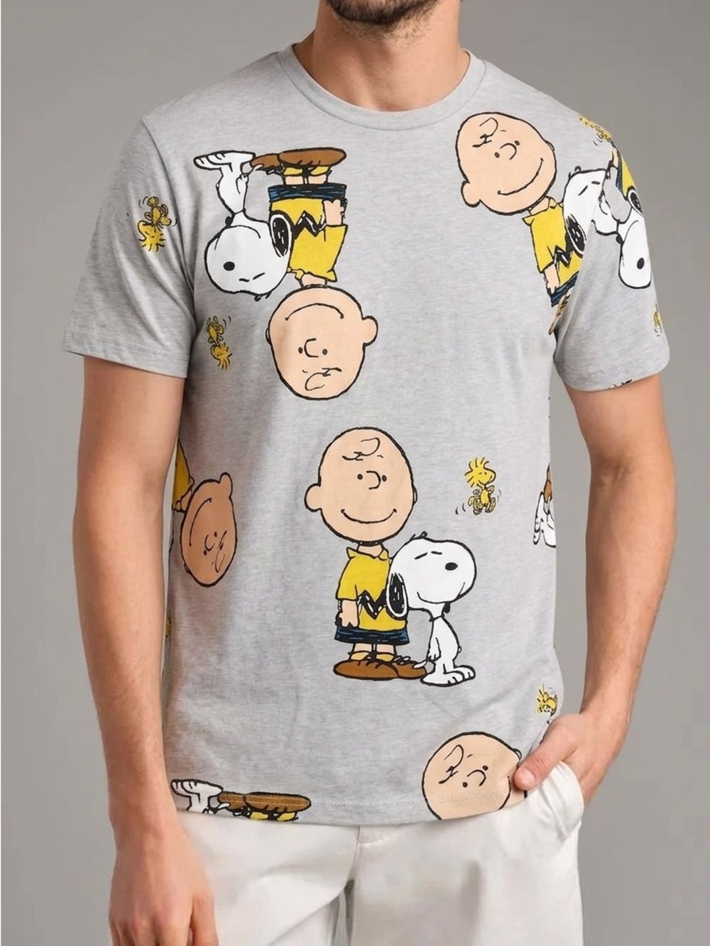 Peanuts Charlie Brown & Snoopy Graphic Tee - Light Gray Size XL